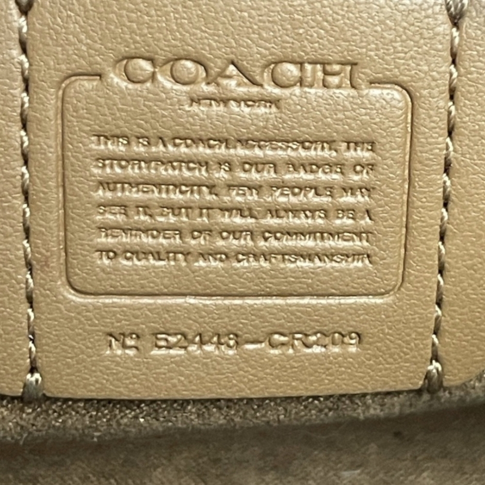 COACH Andrea Croc Embossed Mini Carryall Bag **EUC** - Picture 7 of 10